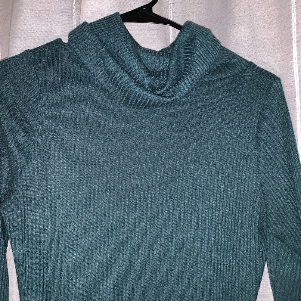 Charlotte Russe Turtleneck Dress